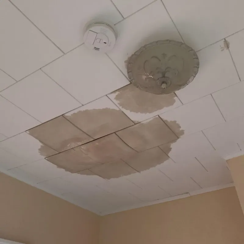 Ceiling Water Damage Repair in Glenwood, IA