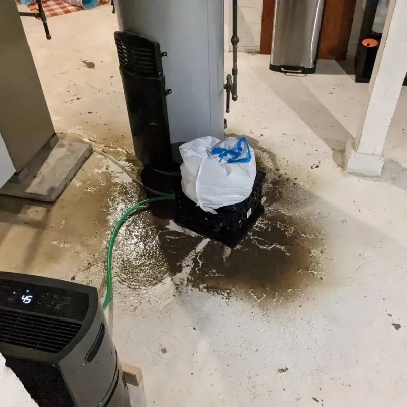 Sewage Backup Cleanup Service in Glenwood, IA